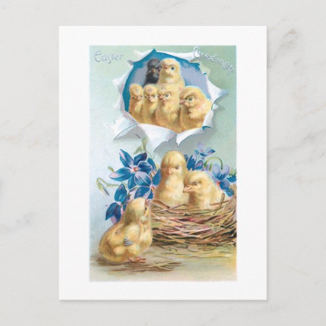 Cute Vintage Chicks, Flowers & Easter Greeting Postcard (Front)