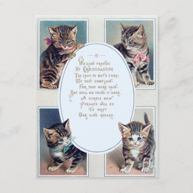 Cute Vintage Christmas Cat Funny Poem Postcard (Front)