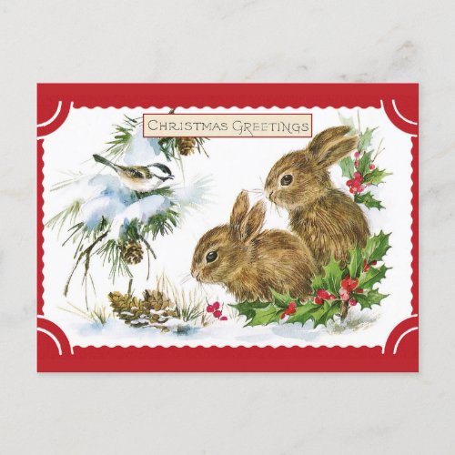 Cute Vintage Christmas Greetings Bunny Rabbit Postcard