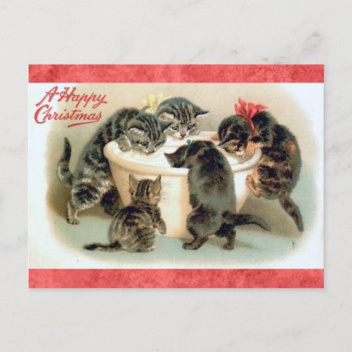 Cute Vintage Christmas Kitten Cat Postcard