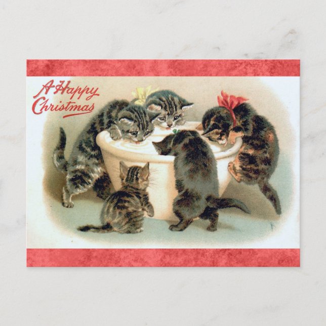 Cute Vintage Christmas Kitten Cat Postcard (Front)