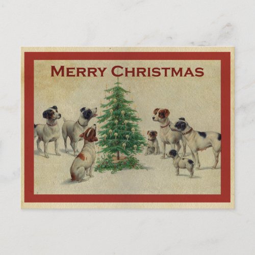 Cute Vintage Dog Merry Christmas Postcard