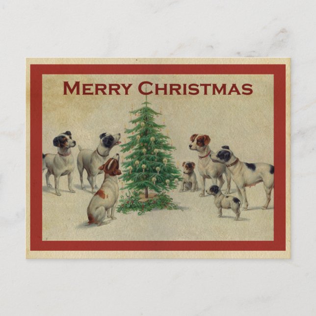 Cute Vintage Dog Merry Christmas Postcard (Front)