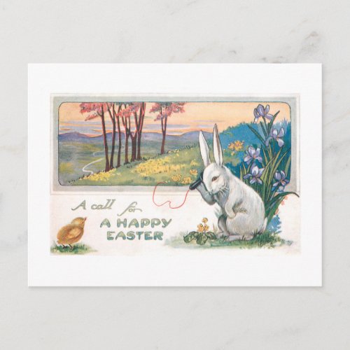 Cute Vintage Easter Bunny with Telephone Postcard