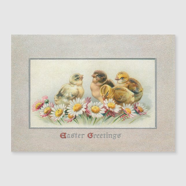 Cute Vintage Easter Chicks and Daisies (Front)