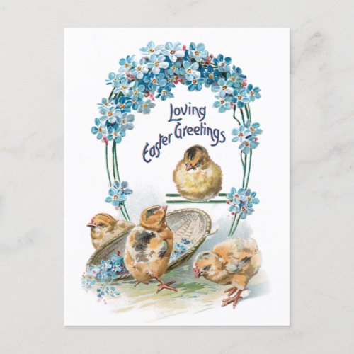 Cute Vintage Easter Chicks  Blue Forget_me_Nots Holiday Postcard
