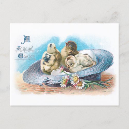 Cute Vintage Easter Chicks in Straw Hat  Holiday Postcard