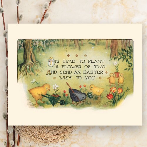 Cute Vintage Easter Chicks  Spring Flowers Postcard