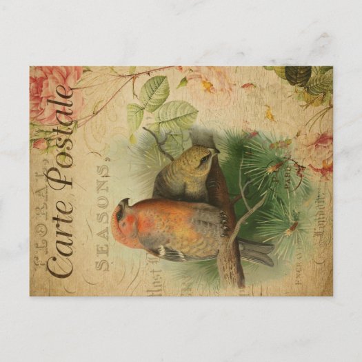 Cute Vintage Ephemera Gosbeak Birds Floral French
