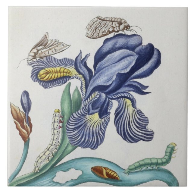 cute vintage flowers and insects ceramic tile (Front)