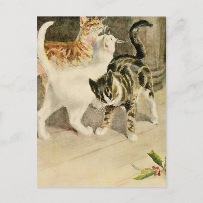 Cute Vintage Fluff Pet Cat Illustration Announcement Postcard Zazzle Com Cute Vintage Fluff Pet Cat Illustration Announcement Postcard Zazzle Com