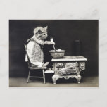 Cute Vintage Funny Kitten Baking And Cooking Postcard at Zazzle