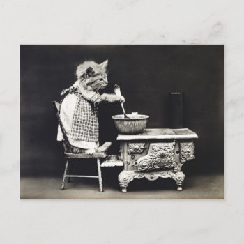 Cute Vintage Funny Kitten Baking And Cooking Postcard by prawny_vintage at Zazzle