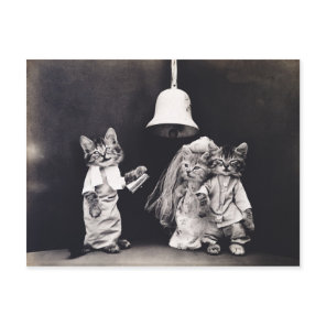Cute Vintage Funny Kitten Couple Wedding Ceremony Postcard