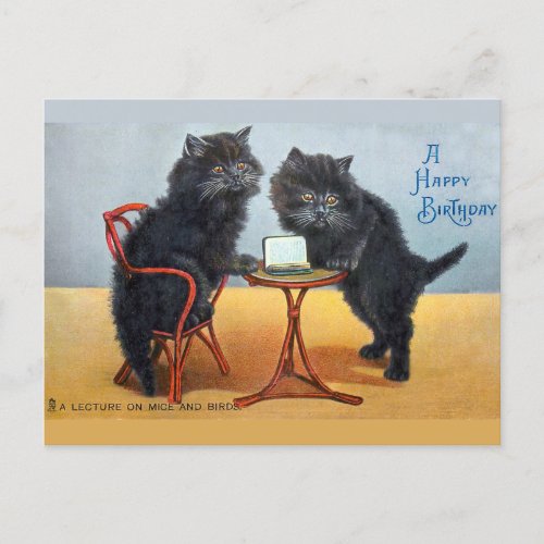 Cute Vintage Happy Birthday Cat Postcard