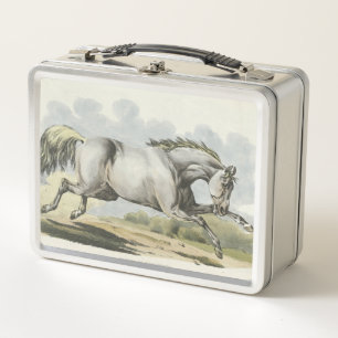 cute vintage horse lovers metal lunch box