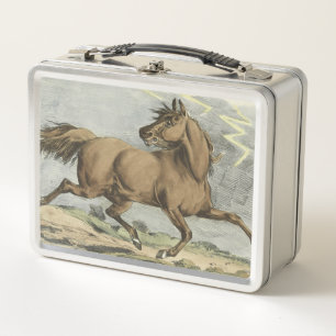 cute vintage horse lovers metal lunch box