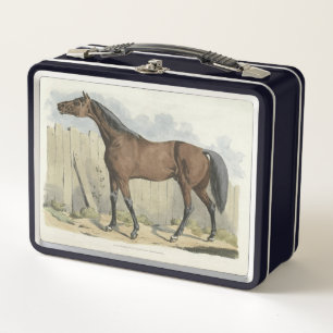 cute vintage horse lovers metal lunch box