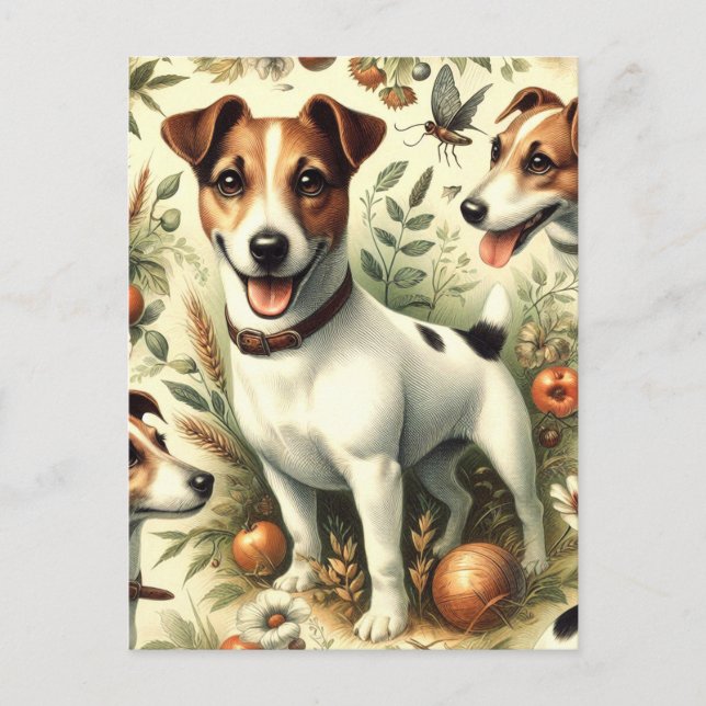 Cute Vintage Jack Russell Terrier Postcard (Front)