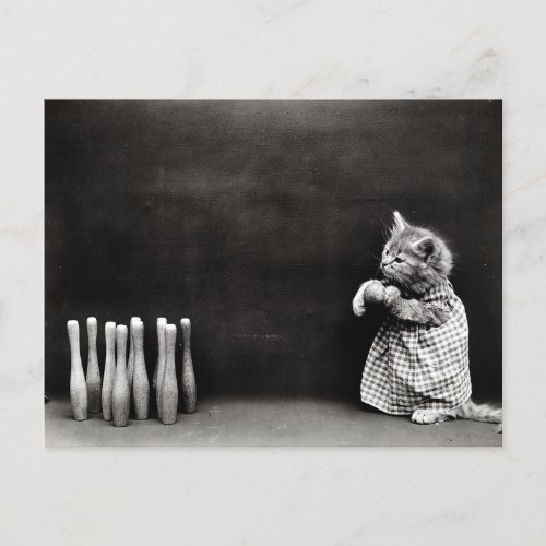 Cute Vintage Kitten Bowling Postcard