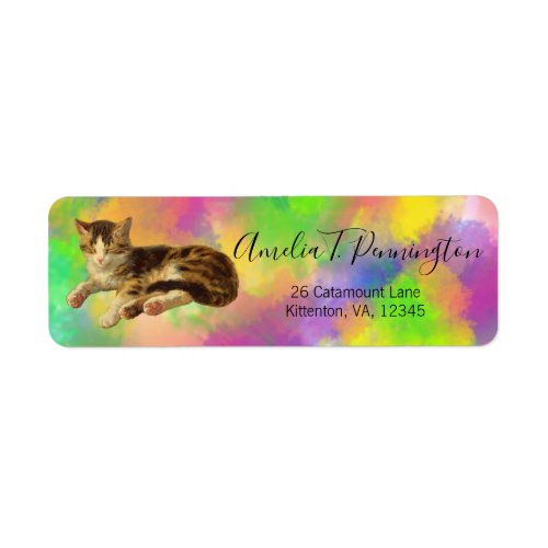 Cute Vintage Kitty Cat Nap Abstract Rainbow Art Label