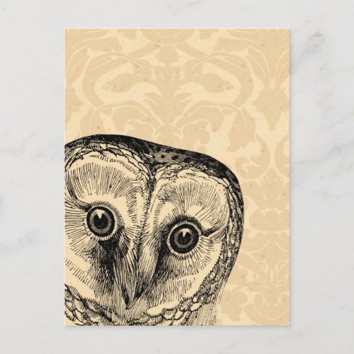 Cute Vintage Owl in Black on Tan Damask Postcard
