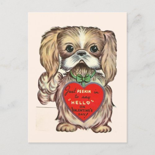 Cute Vintage Pekingese Puppy Dog 1950s Valentine Postcard