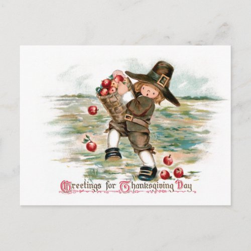 Cute Vintage Pilgrim Boy with Apples Postcard