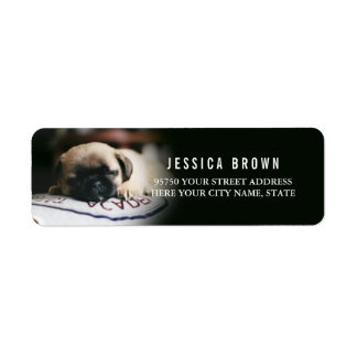 Cute Vintage Pug custom return address label