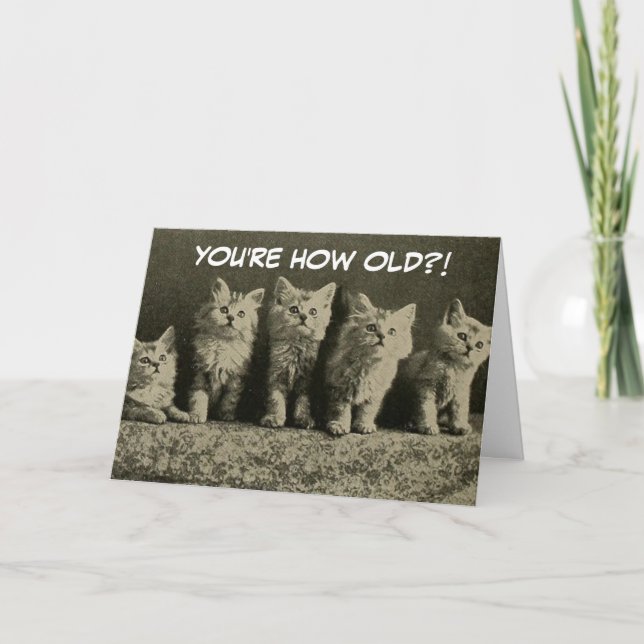 Cute Vintage Retro Kittens Happy Birthday Card (Front)