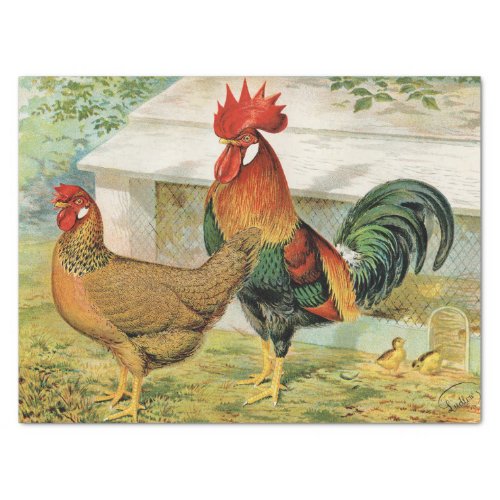 Cute vintage Rooster and hen party Tissue Paper