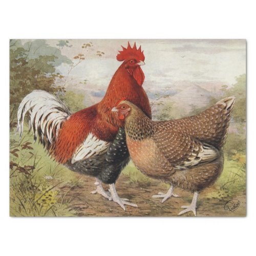 Cute vintage rooster hen party Country Tissue Paper