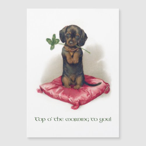 Cute Vintage St Patricks Day Dachshund wClover