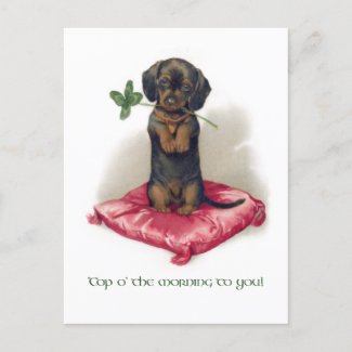 Cute Vintage St. Patrick's Day Dachsund w/Clover Postcard