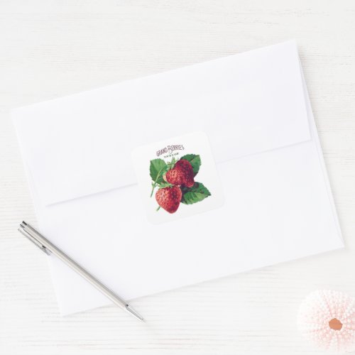 Cute Vintage Strawberry Berry Fruit Add Your Name Square Sticker