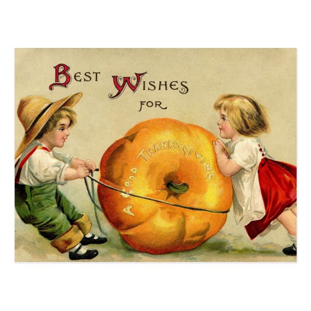 Cute Vintage Thanksgiving Greeting Postcard