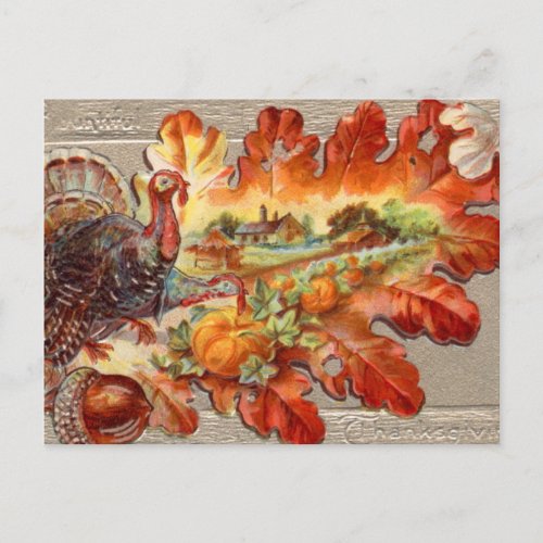 Cute Vintage Turkey Fall Thanksgiving Postcard