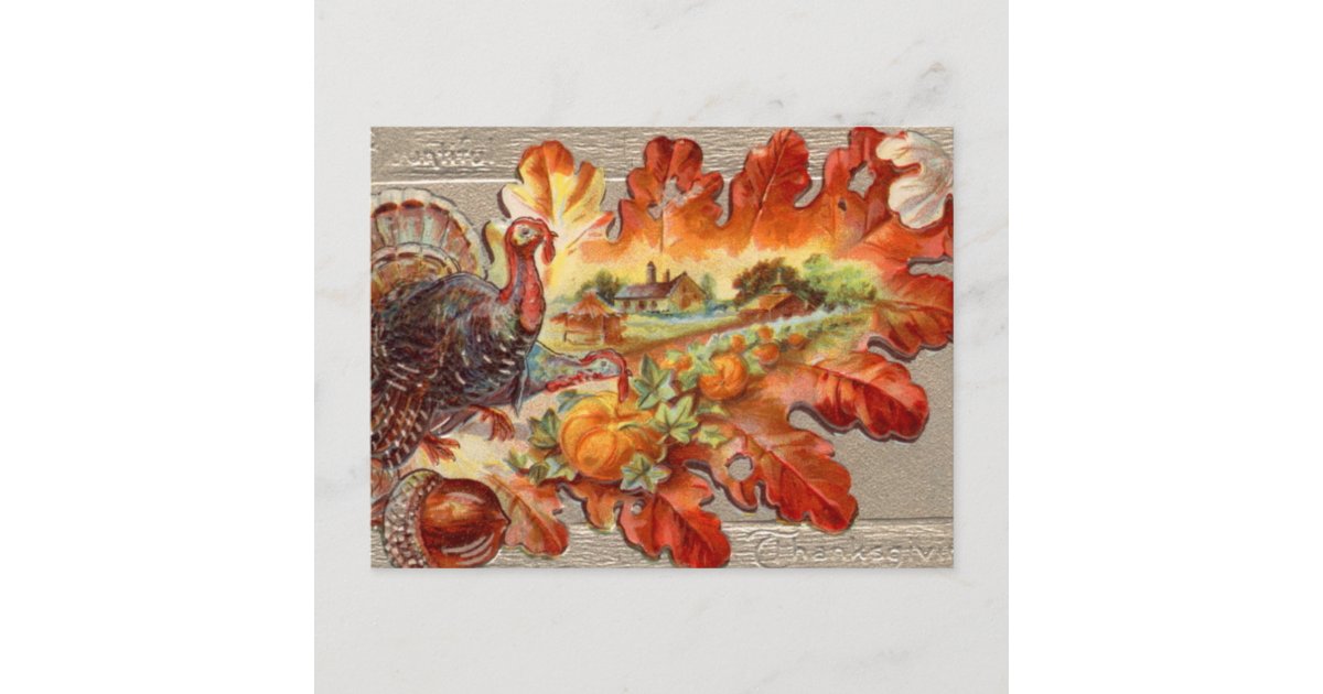 Cute Vintage Turkey Fall Thanksgiving Postcard | Zazzle
