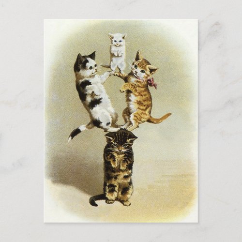 Cute Vintage Victorian Cats Kittens Playing Humor Postcard