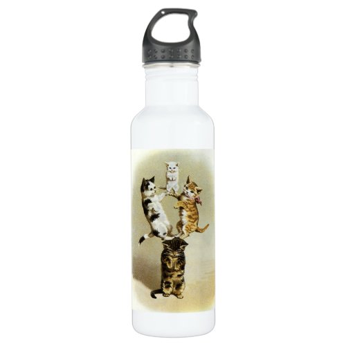 Cute Vintage Victorian Cats Kittens Playing Humor Stainless Steel Water Bottle