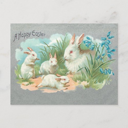 Cute Vintage White Easter Bunnies Holiday Postcard