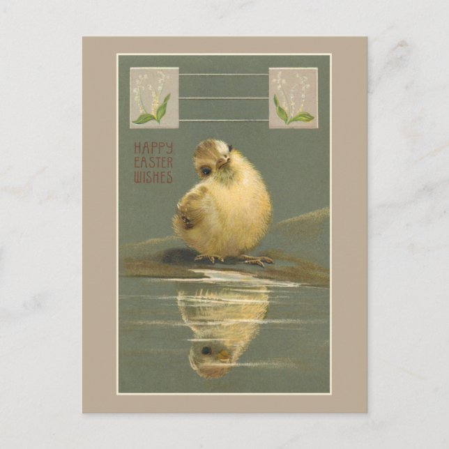 Cute Vintage Yellow Easter Chick Holiday Postcard (Front)