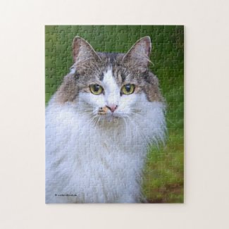 Cute Visiting Long-Haired Calico Cat in the Garden