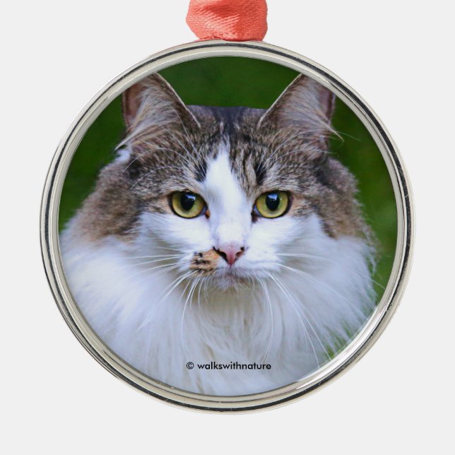 Cute Visiting Long-Haired Calico Cat in the Garden Metal Ornament (Front)