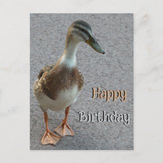Cute Walking Duck Cust. Happy Birthday Postcard