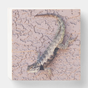 Cute wall clinging Lizard Wooden Box Sign