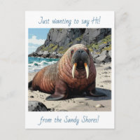 Cute Walrus on a Sandy Beach | Saying Hello