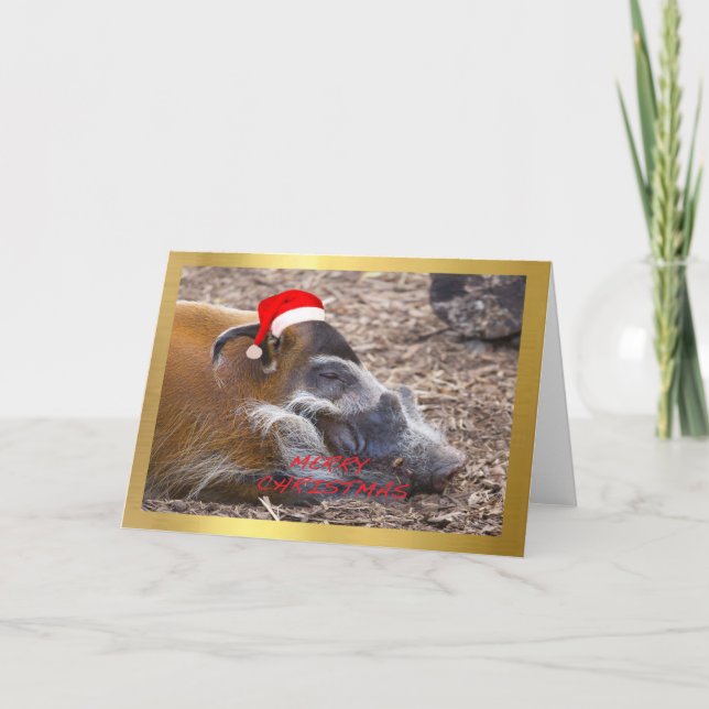"Cute Warthog" design Christmas card (Front)