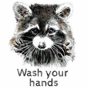 Cute Washroom Wash your Hands Raccoon Animal Cutout