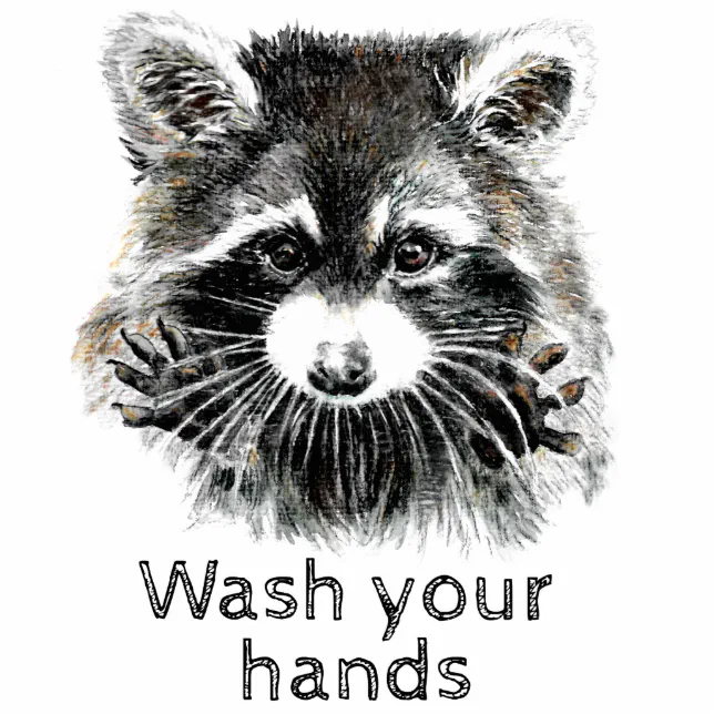 Cute Washroom Wash your Hands Raccoon Animal Cutout Zazzle